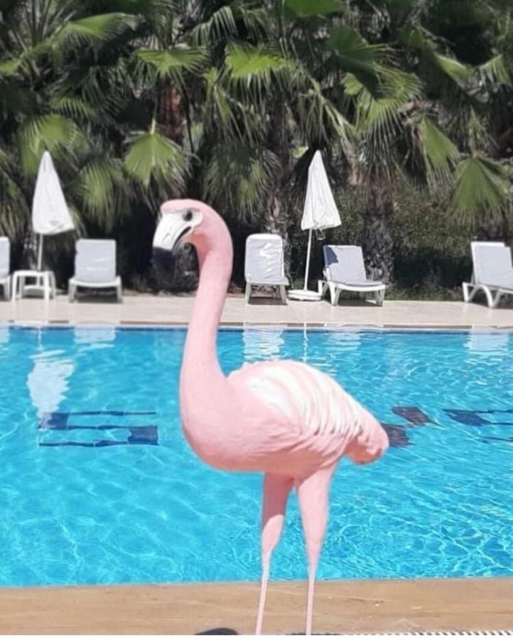 Skys Beach Hotel Manavgat Bagian luar foto